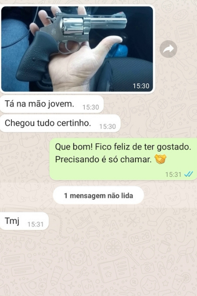 venda de armas de fogo pela internet